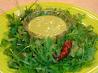 Field Greens With Red Chili Dressing. Recipe by ellie_