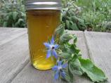 Borage Cucumber Jelly