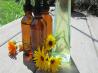 Calendula Tincture Topical and Internal