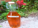 Fresh Flower/Herb Syrup