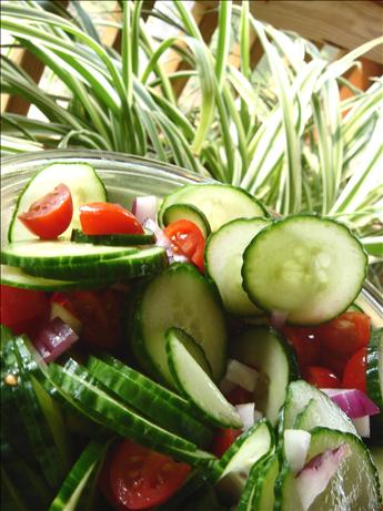 Tomato Cucumber Onion Salad. Photo by Bev