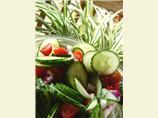 Tomato Cucumber Onion Salad