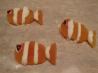 Nemo (Clownfish) Snacks