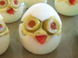 Cute Little Egg Chicks