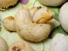 Cretan Bread Rings With Herbs or Spices
