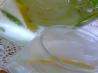 Herbal Lemon-Cucumber Water