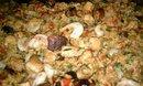 K-Jon's Jambalaya. Photo by K-Jon Chef