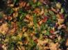 Abkhazia: Walnut Lobio