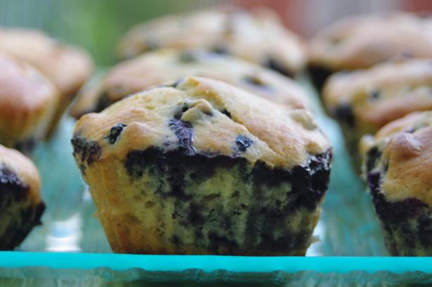 Lemon-Blueberry Muffins. Photo by Redsie