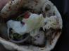 Akrotiri: Cypriot Pork Souvlaki With Tzatziki