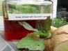 Holy Basil the Queen of Herbs Infused Honey