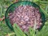 Cranberry Wild Rice Pilaf. Recipe by Sue Lau