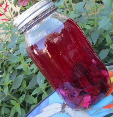 Beet and Ginger Kvass Treat Your Liver Good!. Photo by Rita~