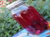 Beet and Ginger Kvass Treat Your Liver Good!. Photo by Rita~