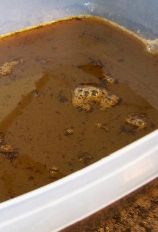 Rich Roasted Veggie Stock. Photo by WhiskingWings