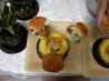 Hawaiian Mahi Mahi Sliders. Recipe by Kzim4
