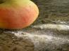 Apple Sugar
