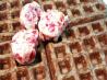 Cranberry Butter. Recipe by Sydney Mike
