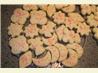 Uncle Bill's Whipped Shortbread Cookies