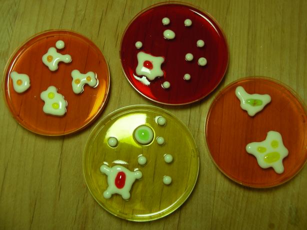 Science Shooters (Or Petri Dish Jello Shots). Photo by Erin K. Brown