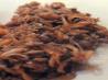 Clam Satay (Ashmore and Cartier Islands)