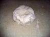 Rice Flour Tortillas