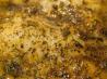 Baked Tilapia Iowa Cajun Style