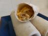 Healthy Breakfast Burrito. Recipe by exzentriker