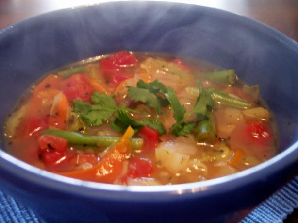 Garden Vegetable Soup. Photo by jrusk