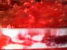 Libbies Raspberry Gelatine Salad. Photo by Dienia B.