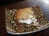 S'mores Bars