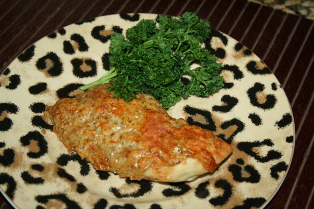 Parmesan Yogurt Chicken. Photo by bethroan