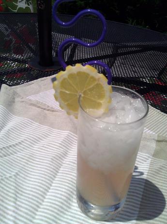 Rhubarb Lemonade. Photo by mersaydees