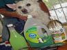 Natural Dog Shampoo - Flea Removal. Recipe by HokiesMom