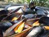 Steamin' Mussels. Recipe by JackieOhNo!