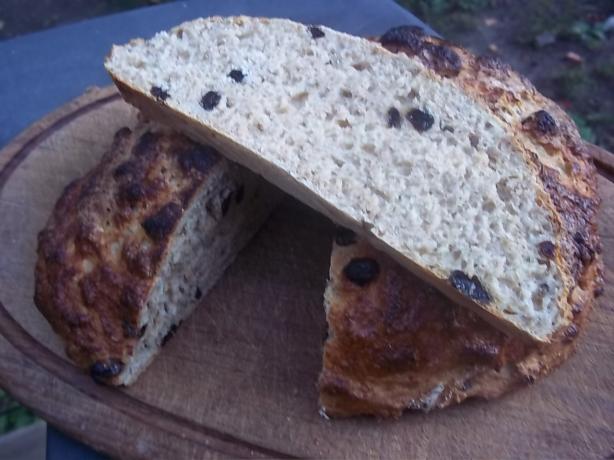 Spotted Dog Cakelike Raisin Bread. Photo by pammyowl