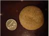 Cinnamon Cookies