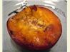 Grilled Peaches. Recipe by Dancer^