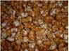 Best Seller Caramel Corn