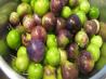 Tomatillo-Cilantro Sauce. Recipe by Studentchef