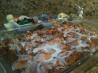 Cinnamon Roll Casserole. Photo by didyb