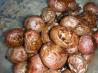 Hot Indian Baked Potatoes