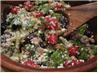 Greek Chicken Salad with Lemon-Herb Dressing. Recipe by Sharon123