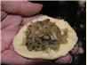 Pierogie  [peer-Oh-Gee] Potato Pierogies Perogies