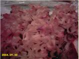 Sweet Noodle Kugel