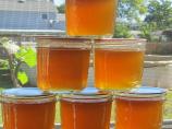 Lemon Verbena Jelly