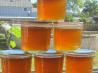 Lemon Verbena Jelly