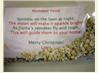 Reindeer Food