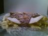 Sailor's Pie With Almond-Pear Sauce #RSC