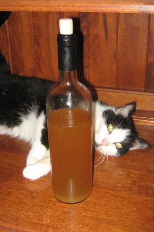 New Ginger Wine - Christmas & Holiday Ginger Wine. Photo by V'nut-Beyond Redemption